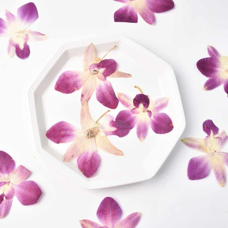 4pcs,Real Pressed Butterfly Or - Resin Craft Ideas 评论和价格