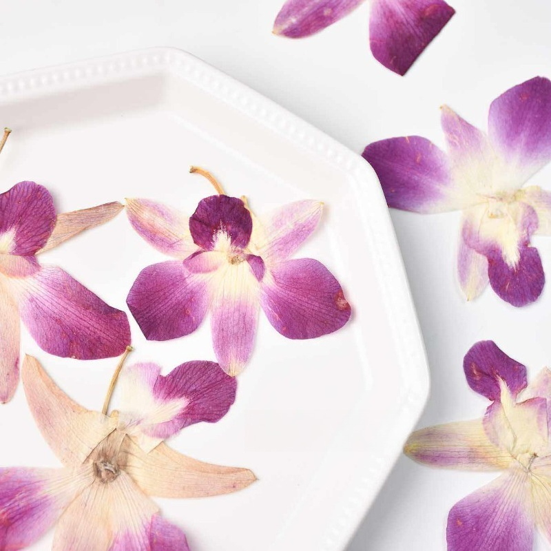 4pcs,Real Pressed Butterfly Or - Resin Craft Ideas 评论和价格