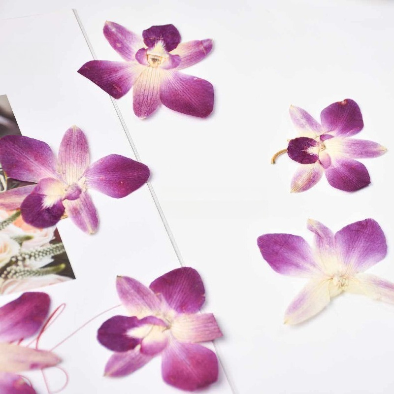 4pcs,Real Pressed Butterfly Or - Resin Craft Ideas 评论和价格