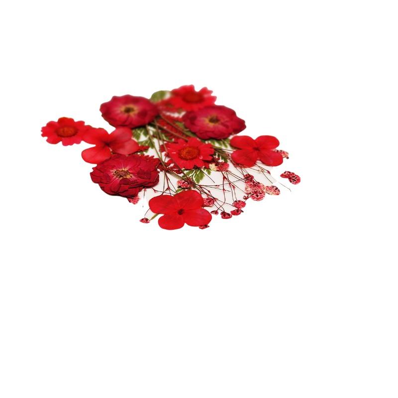 Real Natural Pressed Dried Pla - Resin Craft Ideas 评论和价格