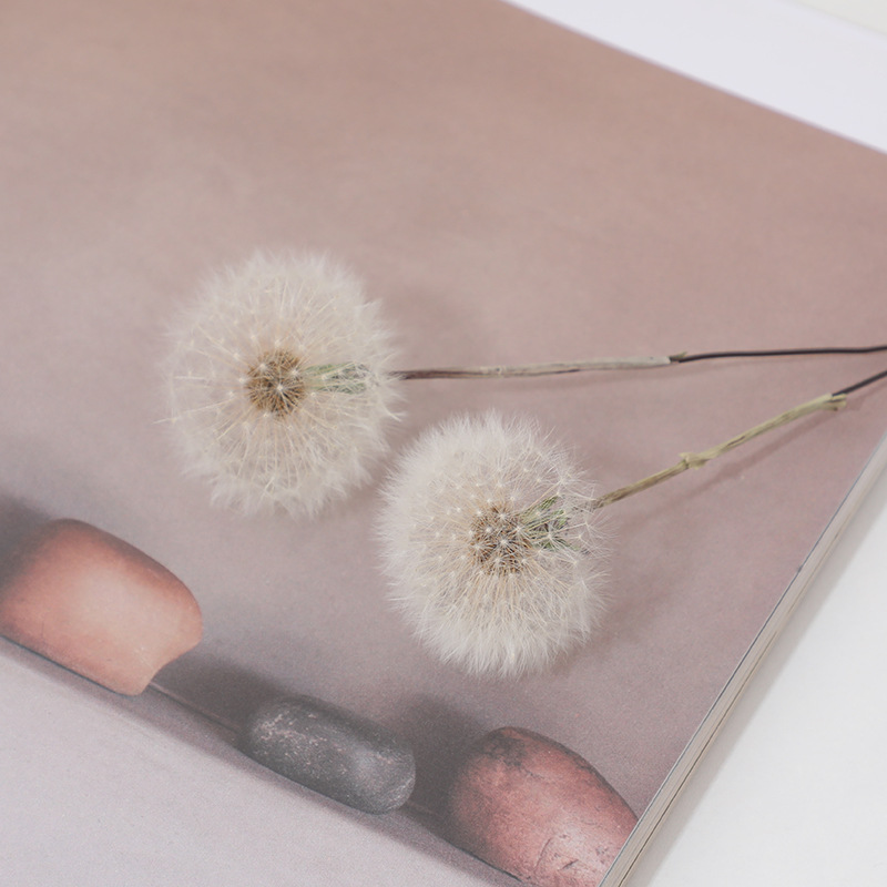 Preserved Dandelion DIY Epoxy  - Resin Crafts Diy 评论和价格