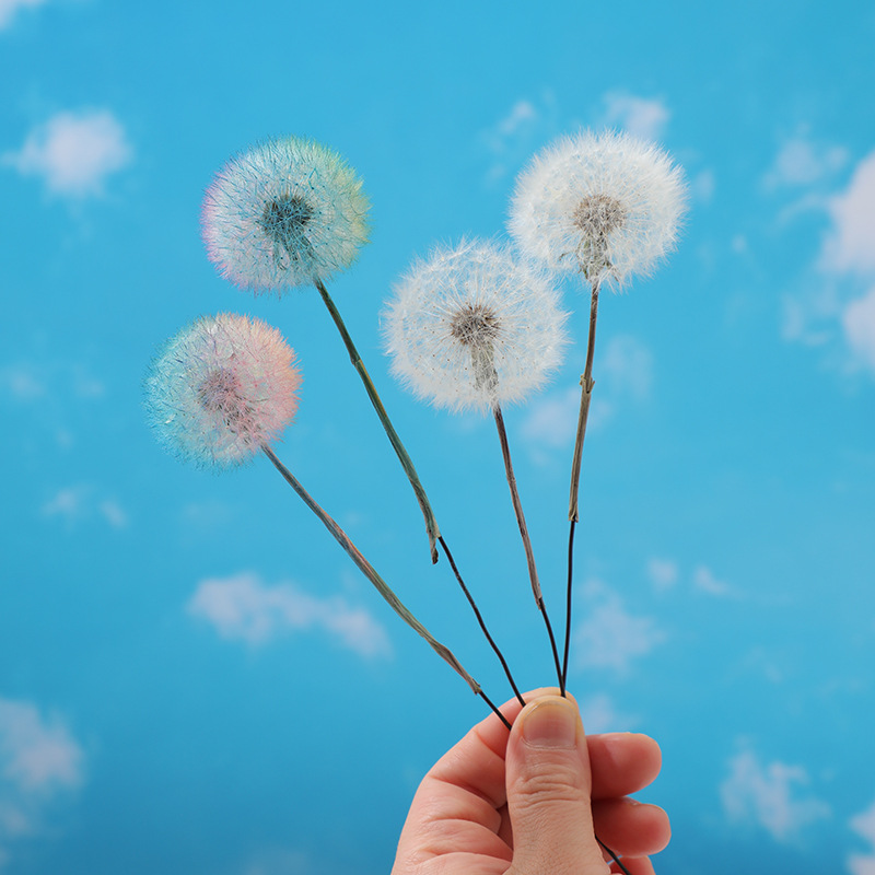 Preserved Dandelion DIY Epoxy  - Resin Crafts Diy 评论和价格